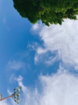 東京サマーランドに投稿された画像（2022/7/9）