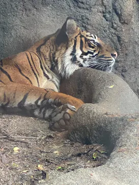 神戸どうぶつ王国に投稿された画像（2022/7/9）