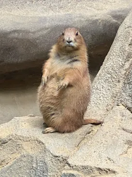 神戸どうぶつ王国に投稿された画像（2022/7/9）