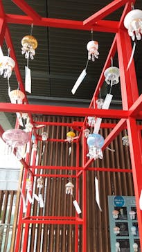 京都水族館に投稿された画像（2022/7/9）