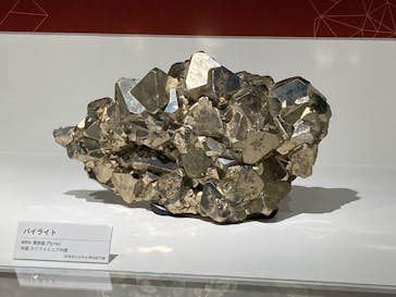 特別展「宝石　地球がうみだすキセキ」（名古屋市科学館　理工館地下２階イベントホール）に投稿された画像（2022/7/9）