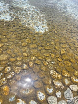 蓮沼ウォーターガーデンに投稿された画像（2022/7/9）