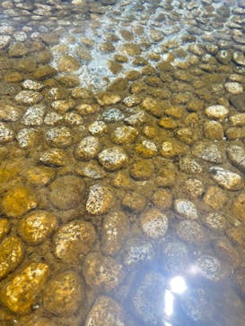 蓮沼ウォーターガーデンに投稿された画像（2022/7/9）