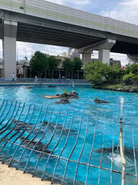 天王寺動物園に投稿された画像（2022/7/9）