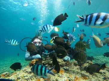 沖縄マリンサービス碧に投稿された画像（2022/7/9）