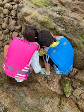 あさくちスポーツクラブ遊ぶところに投稿された画像（2022/7/9）