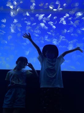 アクアワールド茨城県大洗水族館に投稿された画像（2022/7/9）