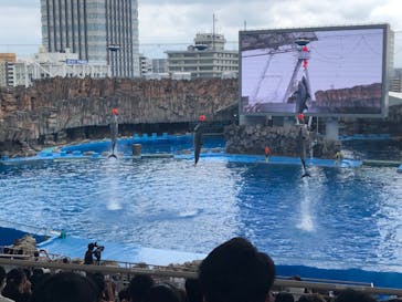 名古屋港水族館に投稿された画像（2022/7/9）