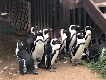 名古屋港水族館に投稿された画像（2022/7/9）
