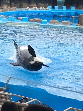 名古屋港水族館に投稿された画像（2022/7/9）