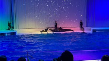 アクアワールド茨城県大洗水族館に投稿された画像（2022/7/9）