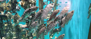 仙台うみの杜水族館に投稿された画像（2022/7/9）