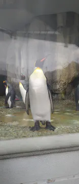 仙台うみの杜水族館に投稿された画像（2022/7/9）