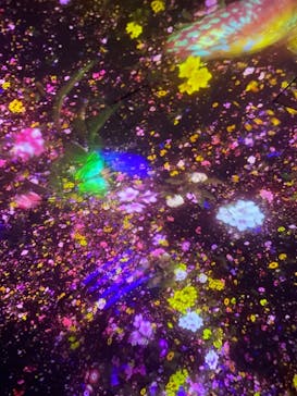 チームラボプラネッツ TOKYO DMMに投稿された画像（2022/7/9）