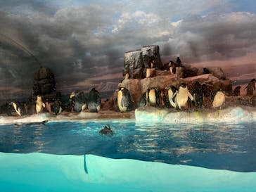 名古屋港水族館に投稿された画像（2022/7/9）