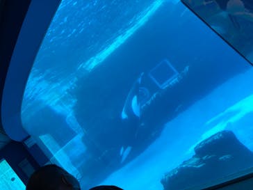 名古屋港水族館に投稿された画像（2022/7/9）