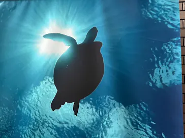 横浜・八景島シーパラダイスに投稿された画像（2022/7/9）