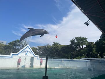 しながわ水族館に投稿された画像（2022/7/9）