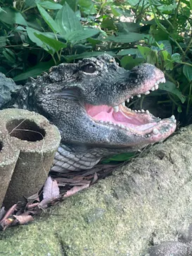 天王寺動物園に投稿された画像（2022/7/9）
