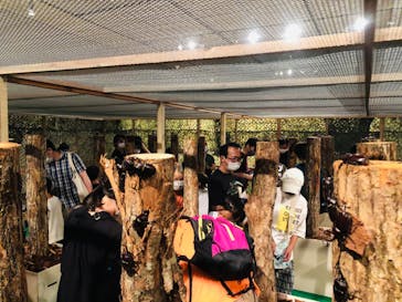 体感するファーブル昆虫展 NAGOYAに投稿された画像（2022/7/9）