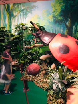 体感するファーブル昆虫展 NAGOYAに投稿された画像（2022/7/9）