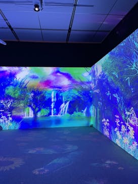 体感するファーブル昆虫展 NAGOYAに投稿された画像（2022/7/9）