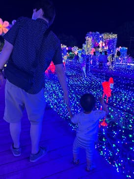 伊豆ぐらんぱる公園に投稿された画像（2022/7/9）