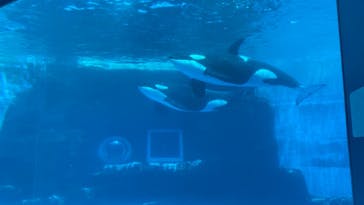 名古屋港水族館に投稿された画像（2022/7/9）