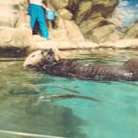 マリンワールド海の中道に投稿された画像（2022/7/10）