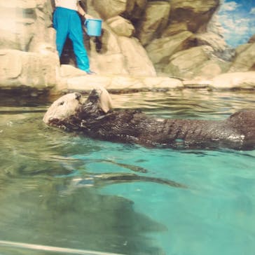 マリンワールド海の中道に投稿された画像（2022/7/9）