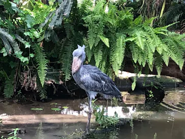 神戸どうぶつ王国に投稿された画像（2022/7/9）