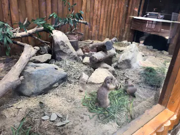 神戸どうぶつ王国に投稿された画像（2022/7/9）