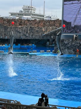 名古屋港水族館に投稿された画像（2022/7/10）