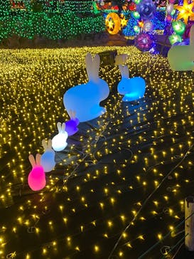 伊豆ぐらんぱる公園に投稿された画像（2022/7/10）