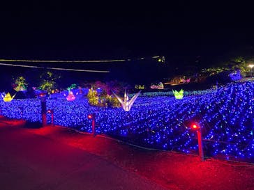 伊豆ぐらんぱる公園に投稿された画像（2022/7/10）