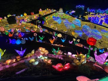 伊豆ぐらんぱる公園に投稿された画像（2022/7/10）