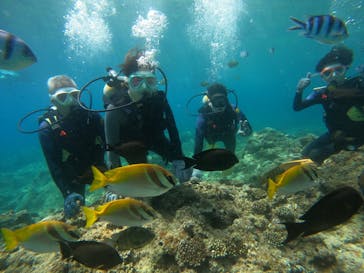 沖縄マリンサービス碧に投稿された画像（2022/7/10）