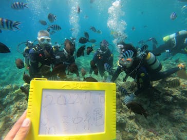 沖縄マリンサービス碧に投稿された画像（2022/7/10）