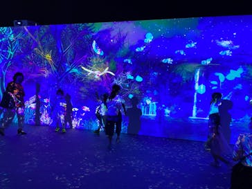 体感するファーブル昆虫展 NAGOYAに投稿された画像（2022/7/10）