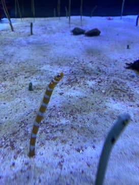 名古屋港水族館に投稿された画像（2022/7/10）