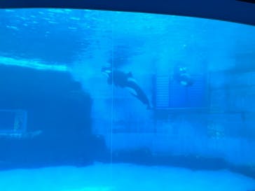名古屋港水族館に投稿された画像（2022/7/10）