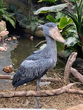 那須どうぶつ王国に投稿された画像（2022/7/10）