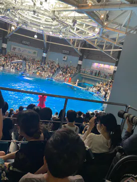 マクセル アクアパーク品川に投稿された画像（2022/7/10）
