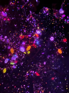 チームラボプラネッツ TOKYO DMMに投稿された画像（2022/7/10）