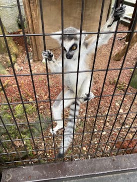伊豆シャボテン動物公園に投稿された画像（2022/7/10）