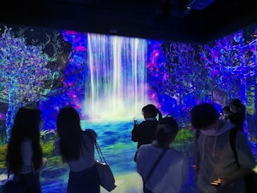 チームラボフォレスト 福岡 - SBI証券に投稿された画像（2022/7/10）