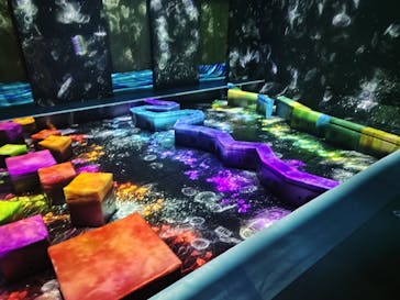 チームラボフォレスト 福岡 - SBI証券に投稿された画像（2022/7/10）