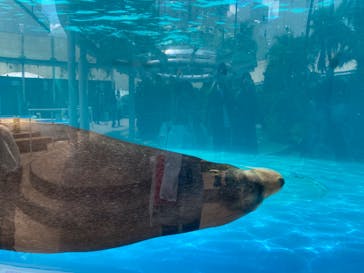 サンシャイン水族館に投稿された画像（2022/7/10）