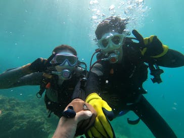 DIVING-SHOP SUNSに投稿された画像（2022/7/10）