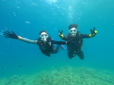 DIVING-SHOP SUNSに投稿された画像（2022/7/10）